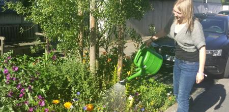 Praktikantin gießt die Blumen auf dem Straßenbeet gegenüber unseres Büros.